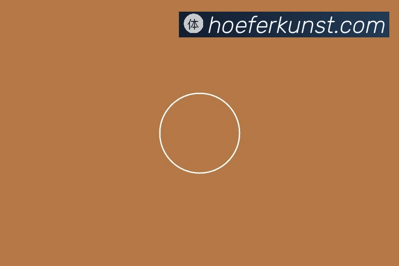 关于上海胜道体育官方电话地址